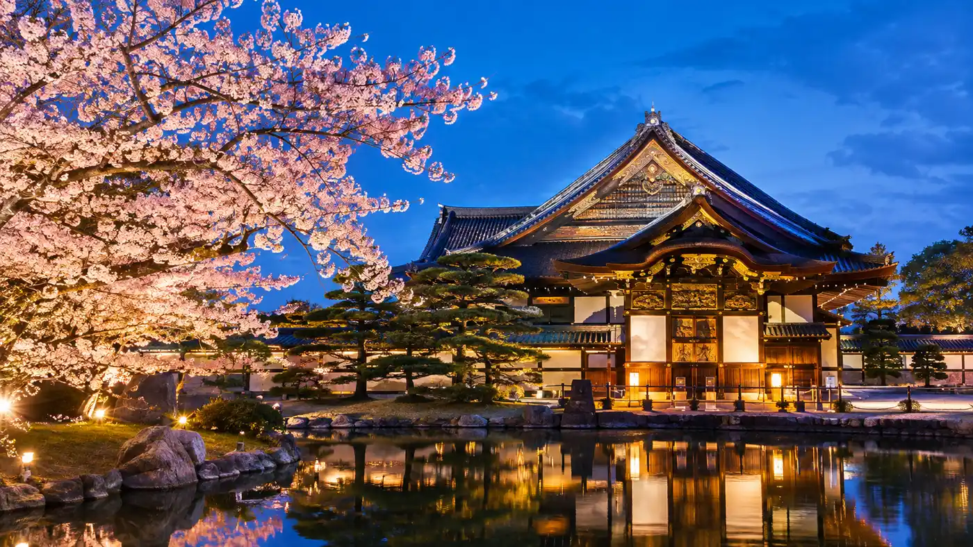 Nijo Castle Cherry Blossom & Night Illumination Events